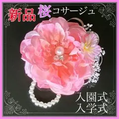 Item thumbnail for item abafda50-27a8-435a-aeca-814fbe25ee64