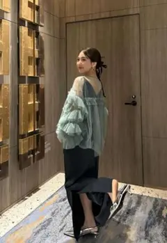 ANDRESD カッティングカーブドレス・デコラティブチュールトップス