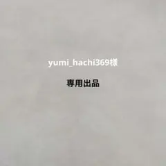 専用出品