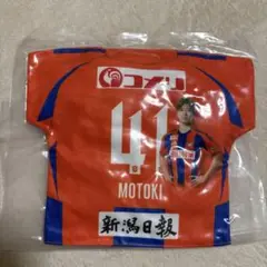 アルビレックス新潟 長谷川元希 マッチデークッション ガラポン