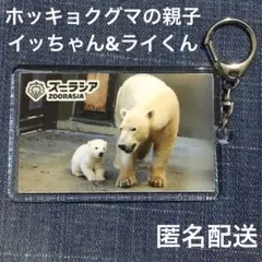 ✨ズーラシア新商品！ホッキョクグマ6種セット✨ よこはま動物園ズーラシア ホッキョクグマ限定商品｜Yahoo