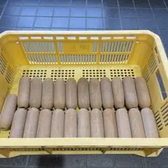 漁具 フロート23個