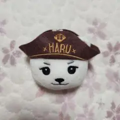 SOFT TOY BADGE - HARUBEAR / NEXZ