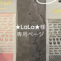専用ページ