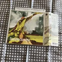 kamomekamome / kamomekamome