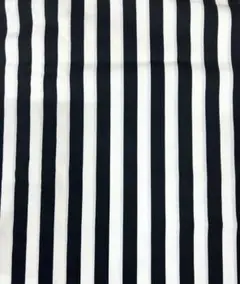 ストライプ 綿 生地 110cm×62cm カットクロス コットン はぎれ