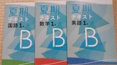 【塾専用教材】夏期テキスト（中１標準編・国数英）