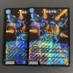完全不明 2枚