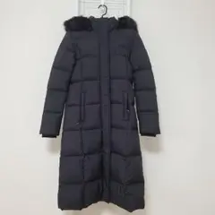The northface ロングダウン L