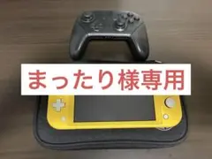 Nintendo Switch Lite+純正プロコン ジャンク品 ケース付