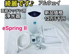 綺麗です♪ 送料無料 アムウェイ eSpring Ⅱ 浄水器 2020年製