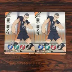 3601 ノーマルバボ 田中 龍之介 ハイキューバボカ ハイキュー