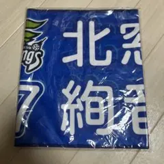 久光スプリングス　北窓絢音　タオル