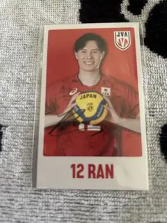 髙橋藍 ステッカー2枚セット