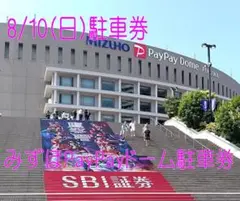 2025.8/10(日)みずほPayPayドーム駐車券
