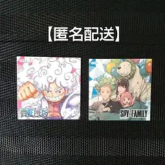 ナツコミ2025 ツインステッカー ONE PIECE SPY×FAMILY