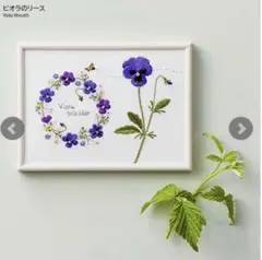 ルシアン☆コスモ☆刺繍キット☆青木和子☆お庭のスケッチブック