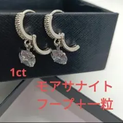 Item thumbnail for item 4be6caf1-8796-41d2-a5aa-d2de66206191