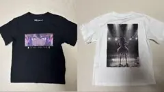 Item thumbnail for item e2390a16-c450-4b07-8183-835c103f7296