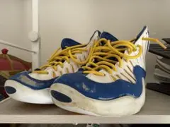【期間限定】NIKE AIR Bakin エアベイキン