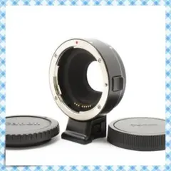 Item thumbnail for item 35c027c7-aa9f-4654-8744-27f4ea17ccae