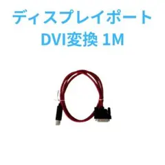 ディスプレイポート ANNNWZZD　DVI変換 1M