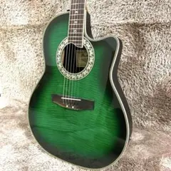 値下げ中　PROMARTIN EA350BLS エレアコ プロマーチン 再入荷！】 Pro Martin EA350BLS - turugi-punkの日記 ギター