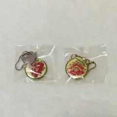 CLAMP リトルアクセサリーコレクション1