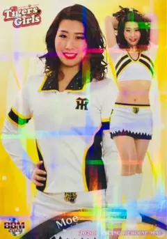 Item thumbnail for item 11bb6fa6-9a31-43e6-9619-928b6ae573f6