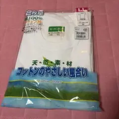 Item thumbnail for item 82ce5c63-57d0-410b-ae80-a6ee7e46d3f1