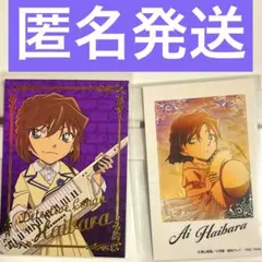 名探偵コナン　灰原哀　箔押し　カード　チェキ　　まとめ売りセット