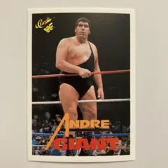 WWFプロレスアンドレ・ザ・ジャイアント トレーディングカードNo 130