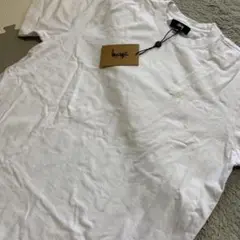 Tシャツstussy champion +1枚 白・黒・紺 計3点セット
