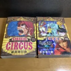 からくりサーカス 18 19巻 藤田和日郎 ワイド版