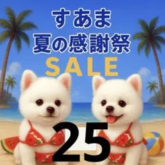 ✨夏の感謝祭セール✨パネル【Ｎｏ．25】