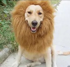 Item thumbnail for item f6193b12-69ff-43eb-b2d1-d7f95aab6c93