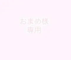 専用ページ
