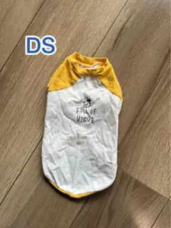 Item thumbnail for item 619c6afc-a941-4d08-b2e1-92f5c3e65993