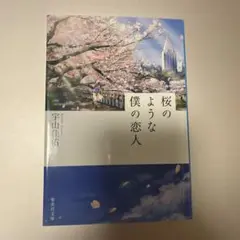 桜のような僕の恋人