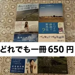 銀色夏生　いずれか一冊