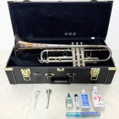 2025年最新】ytr-850の人気アイテム - メルカリ