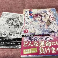 聖人公爵様がラスボスだということを私だけが知っている 3 ～特典付き