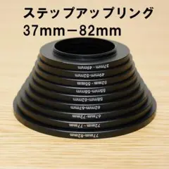 Item thumbnail for item 6570bc68-83df-49d2-bdbf-ff783c5dd0e5