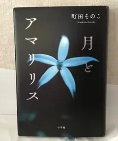 月とアマリリス
