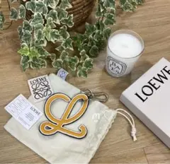 早い者勝ち!LOEWE