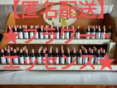 2025年最新】ホリーヒーリングハーブス匿名配送の人気アイテム