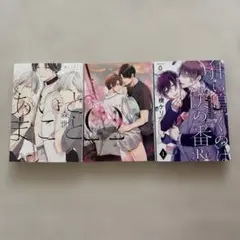 BL漫画3冊セット