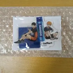 ハイキュー！！　エアーサロンパス　アクスタ