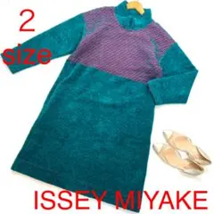 ISSEY MIYAKE イッセイミヤケ ボーダーラインワンピース 3953