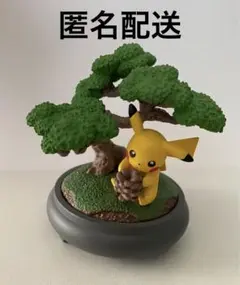 (匿名配送)ぽけっとBONSAI ピカチュウ
